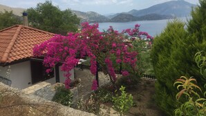 Une maison avec un toit en tuiles, un jardin parsemé de fleurs roses et une vue sur un lac et des montagnes en arrière-plan.