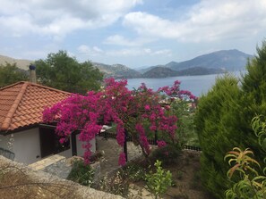 Panoramic House, Sea View