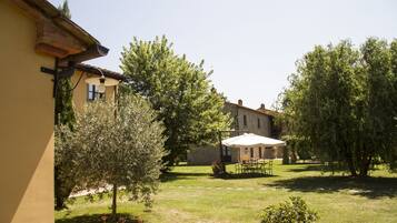 A courtyard with a stone building, a pergola with a white umbrella, and a small tree.