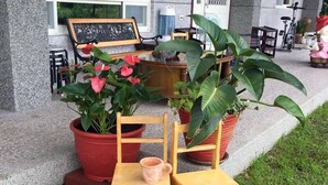 A seating area with two wooden chairs and a small table, surrounded by large potted plants. - 6636 B&B (Taitung)