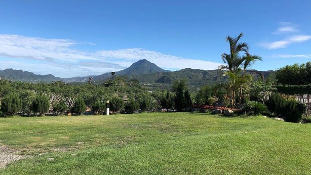 A grassy field with a mountain in the background and a palm tree on the right. - 6636 B&B (Taitung)