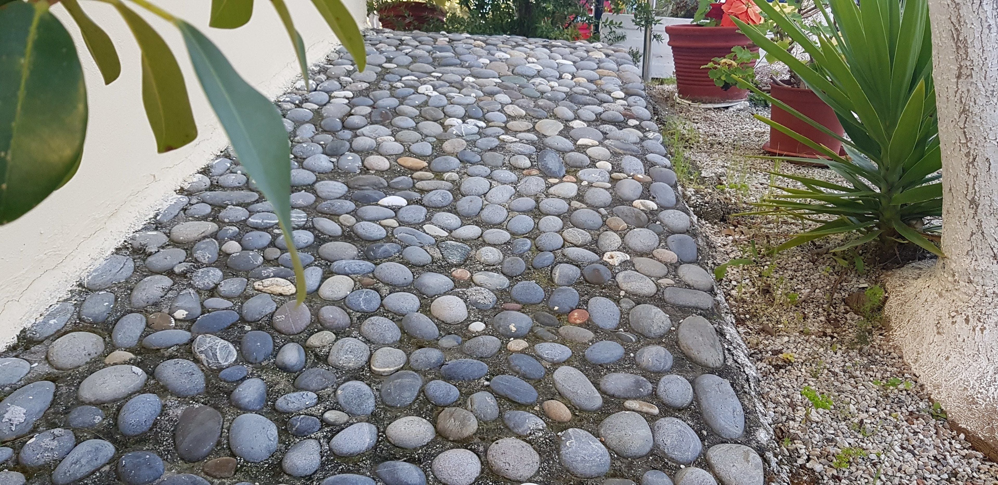 Eksteriør