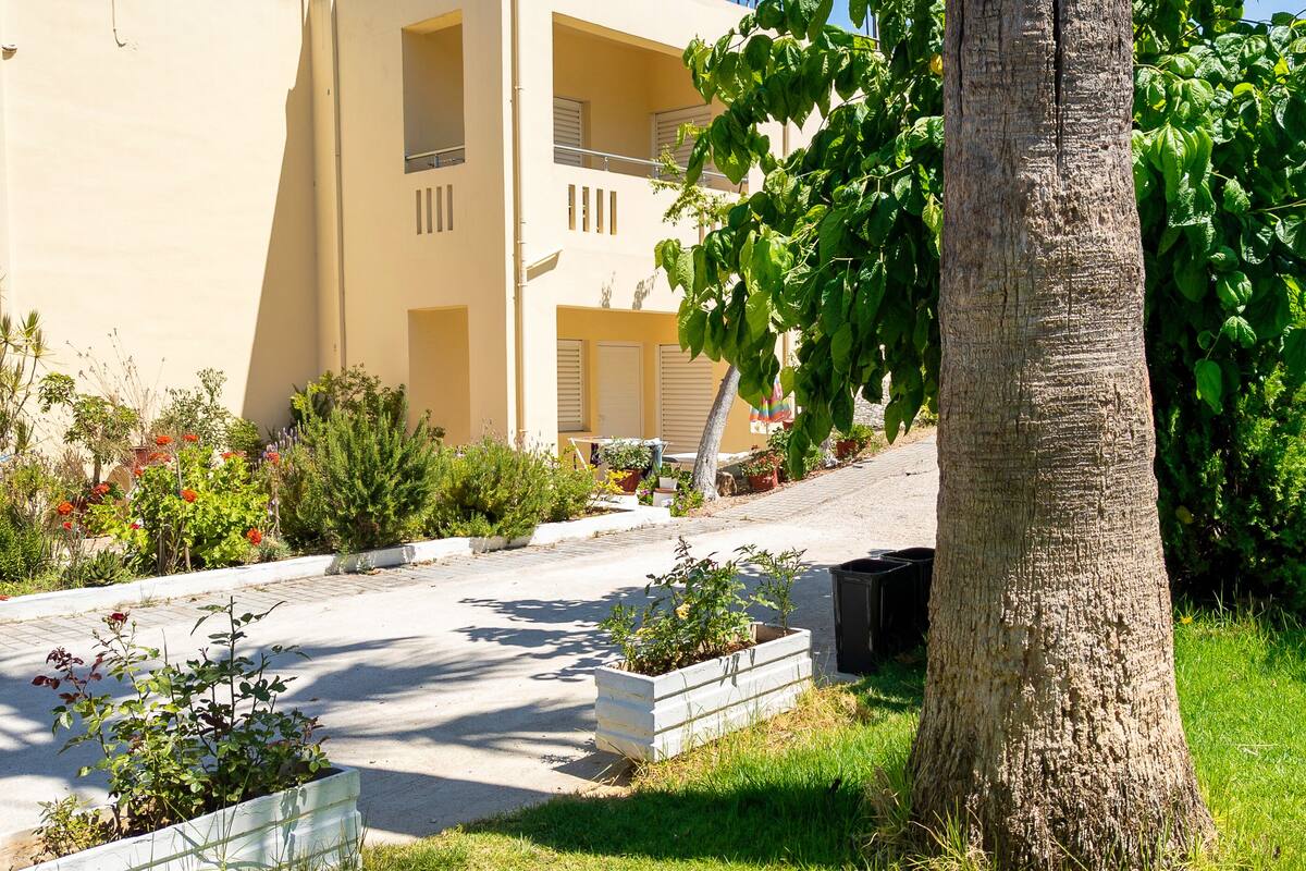 A residential building with a paved driveway, potted plants, and a tree.