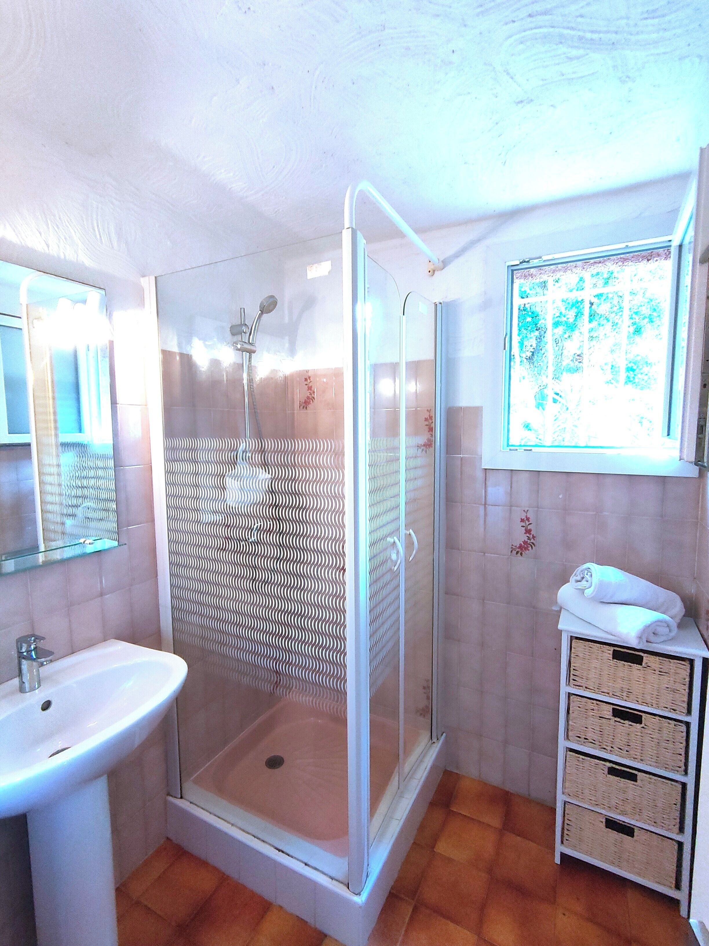A bathroom with a glass-enclosed shower, a sink, and a window with a view of trees.