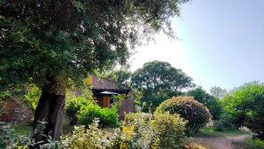 A garden with a pathway leading to a building with a brown roof and yellow accents. - Residence Les Cigales (Porto-Vecchio)