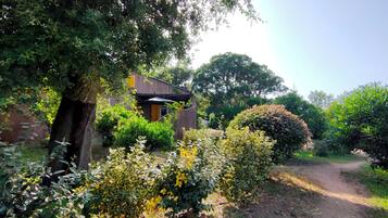 Apartment, 2 Bedrooms | Garden view