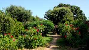 A garden pathway surrounded by lush greenery and red flowers. - Residence Les Cigales (Porto-Vecchio)