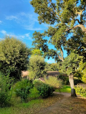 Villa | Exterior - Residence Les Cigales (Porto-Vecchio)