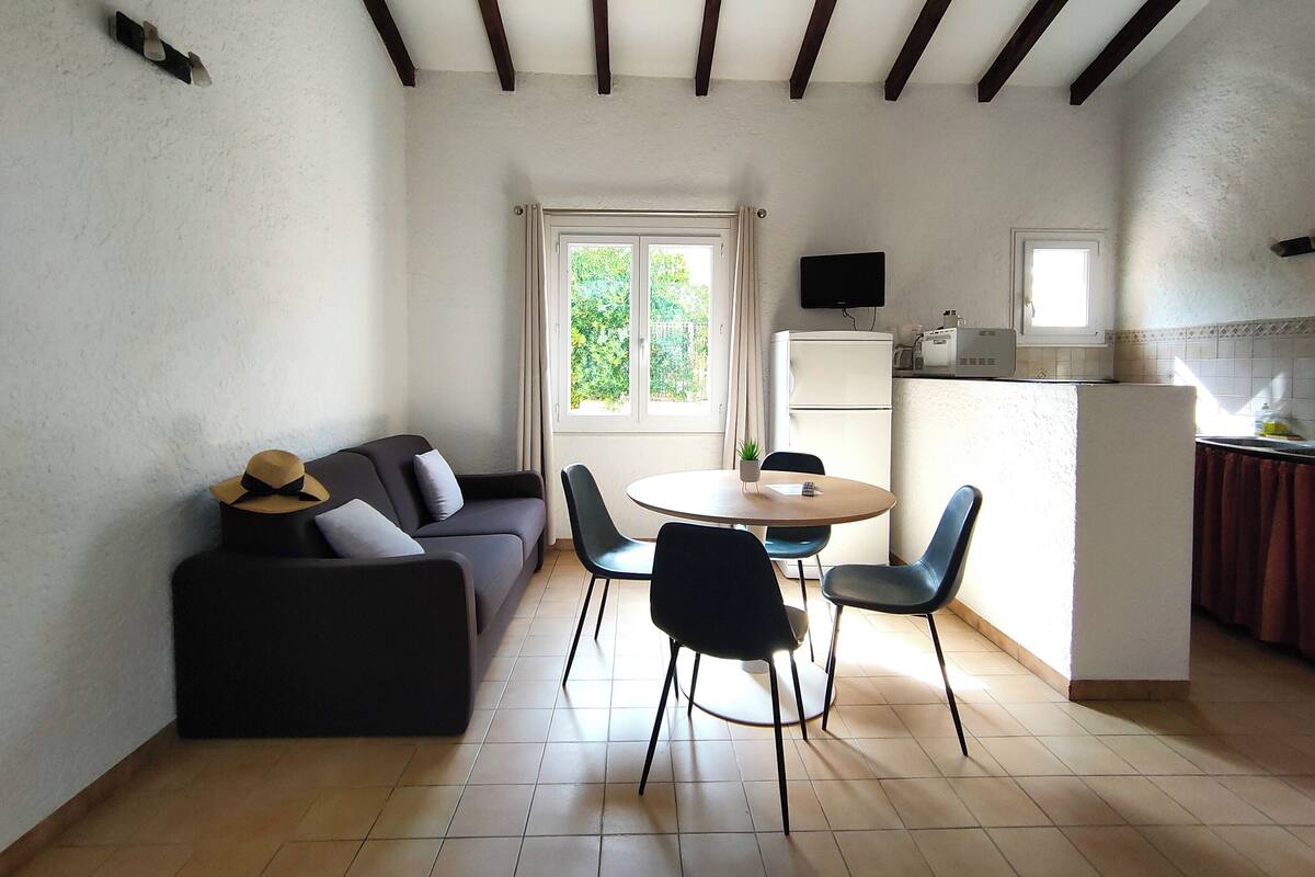 A compact living space with a sofa, a dining table with chairs, a small kitchen area, and a window with a view of greenery.