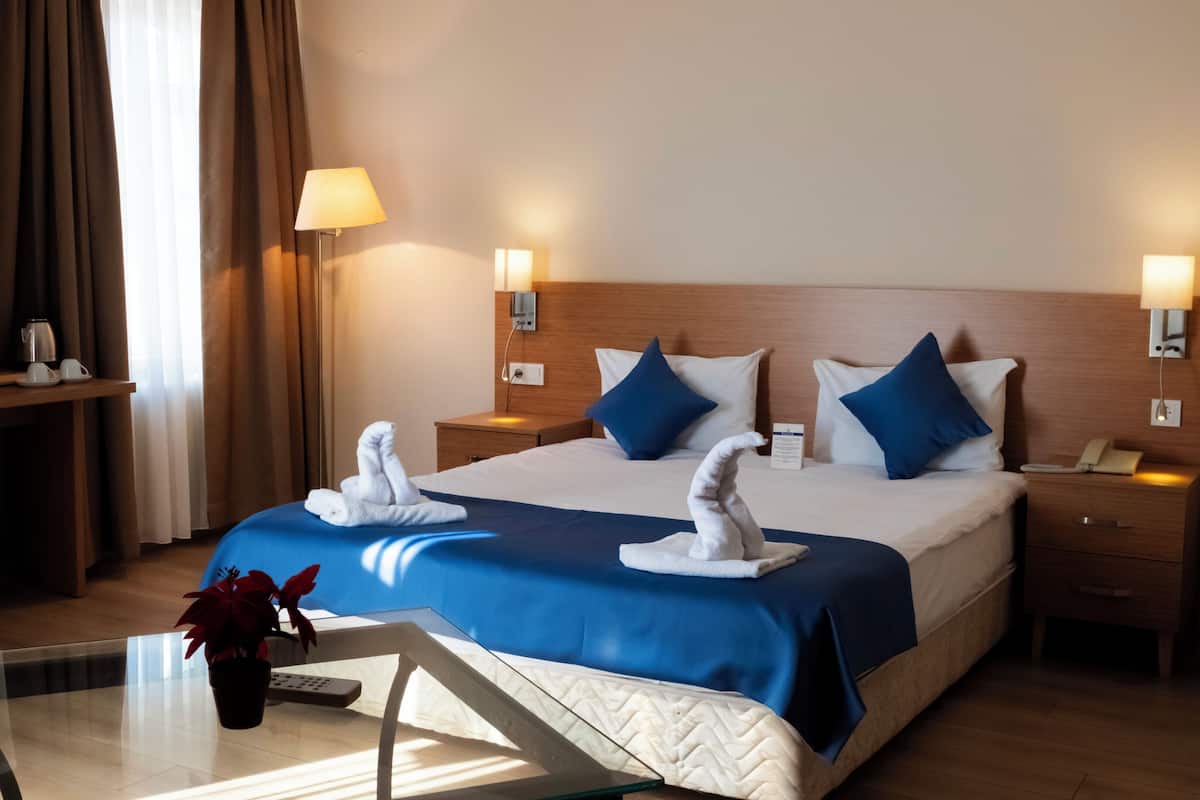 A hotel room with a bed, two bedside tables, a TV, a desk, and a potted plant.