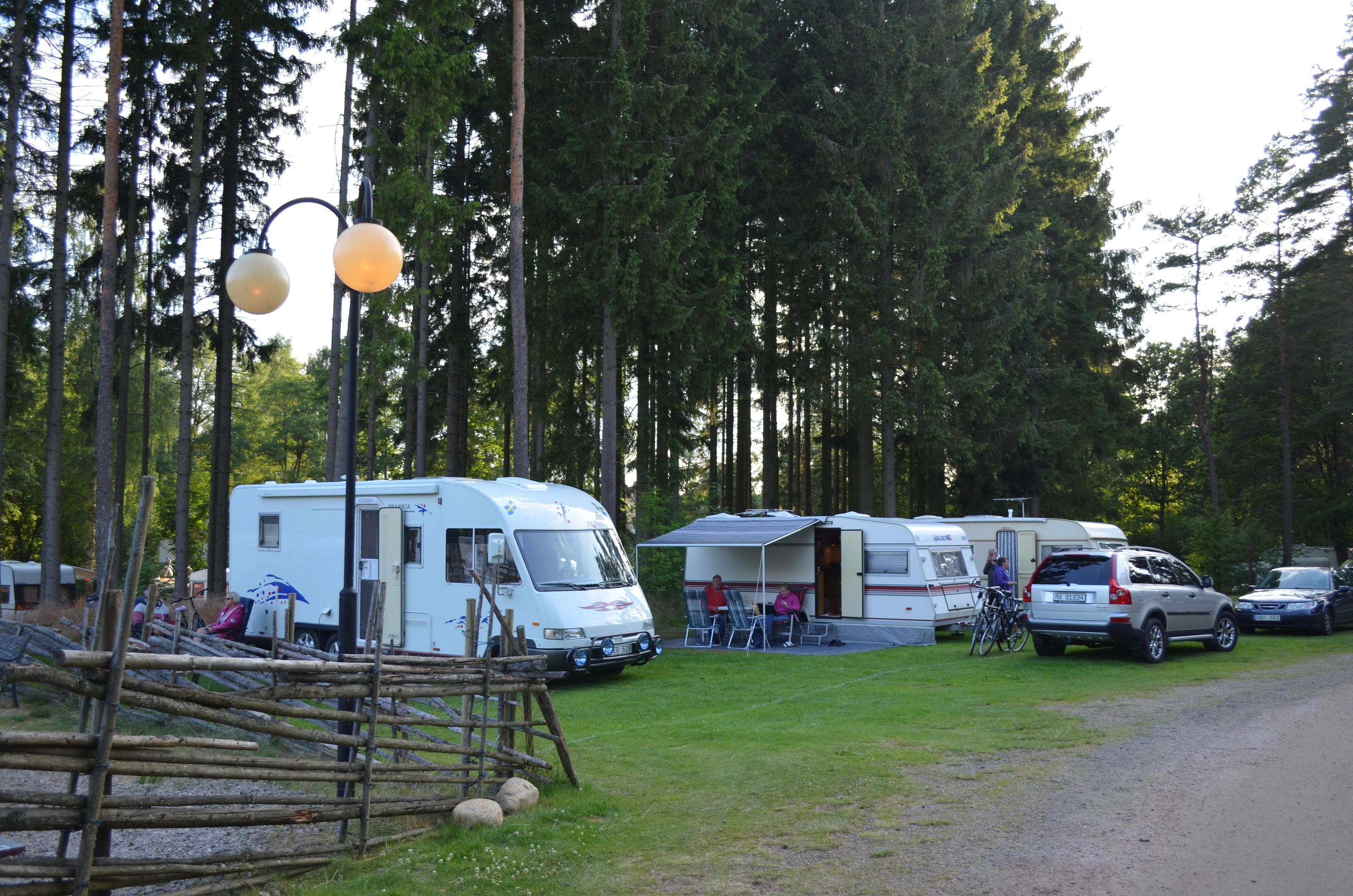 Un terrain de camping où sont stationnés des camping-cars et des voitures, entouré de grands arbres.