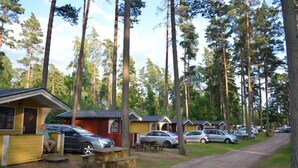 A row of cabins with a gravel path leading to them, surrounded by tall trees.