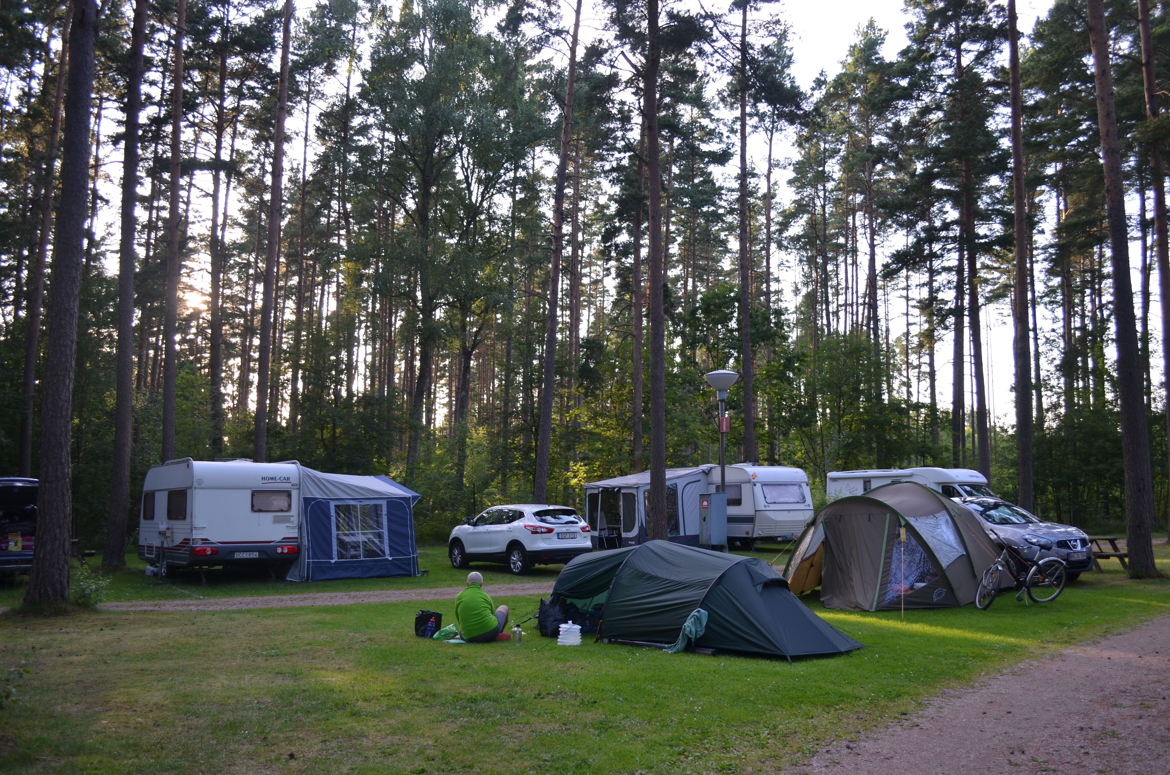 Een camping met meerdere campers en tenten, omringd door hoge bomen.