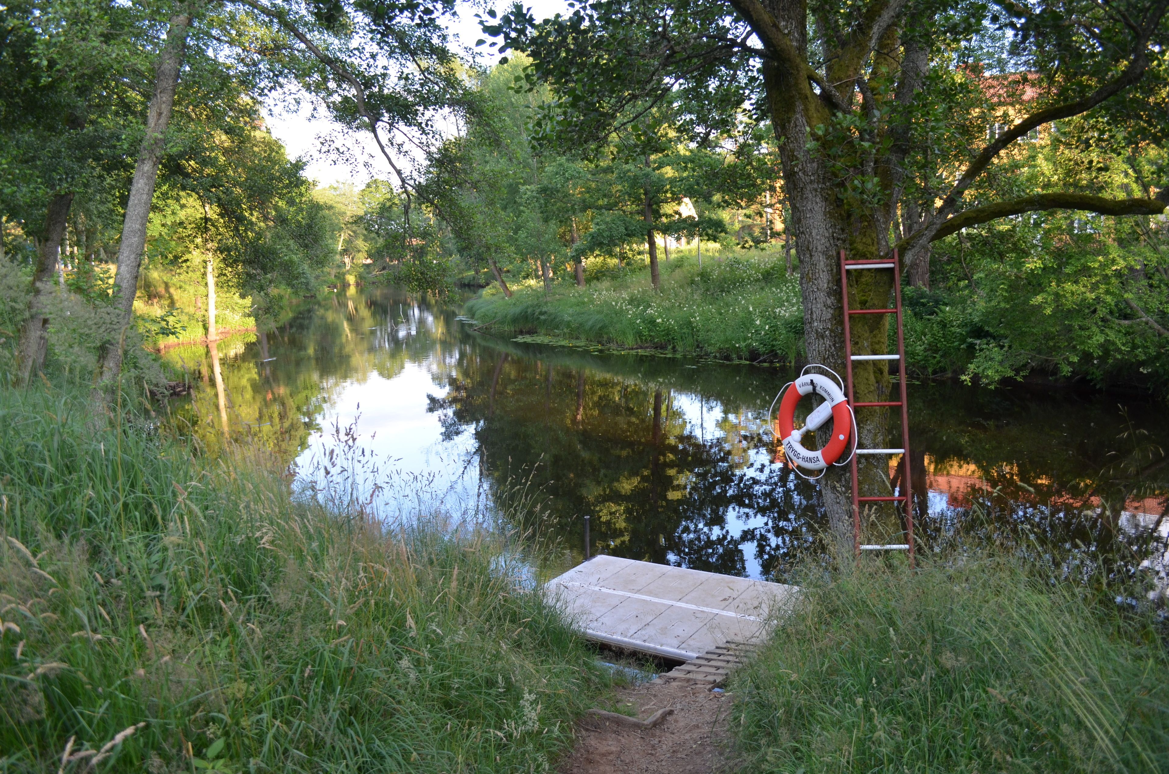 Un muelle de madera se adentra en un río tranquilo rodeado de exuberante follaje y árboles.