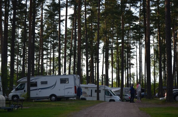 Un camping con vehículos recreativos estacionados entre árboles altos, un sendero de grava y una mesa de picnic.