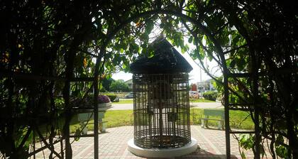 Nordic House Lake View