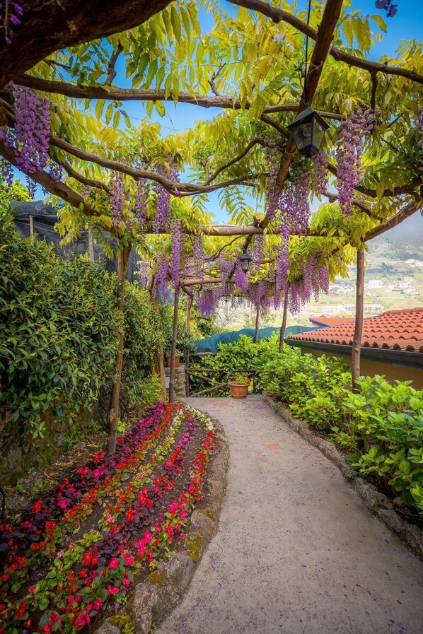 Property grounds - Il Roseto (Ravello)