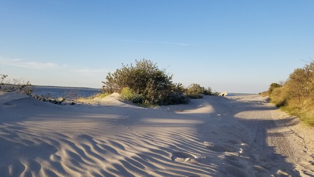 Un sendero arenoso en la playa con huellas y sombras, rodeado de vegetación y un cielo despejado.