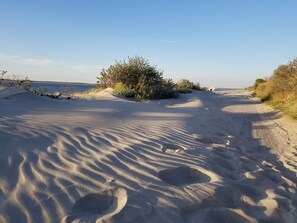 Ein sandiger Strandweg mit Fußabdrücken und Schatten, umgeben von Vegetation und einem klaren Himmel.