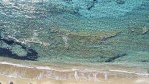 Vlak bij het strand