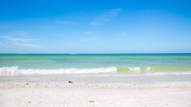 A beach with clear turquoise water and a white sandy shore. - 1 Bedroom / New Furniture / Direct beach access / Across from J.W. Marriott! (Marco Island)