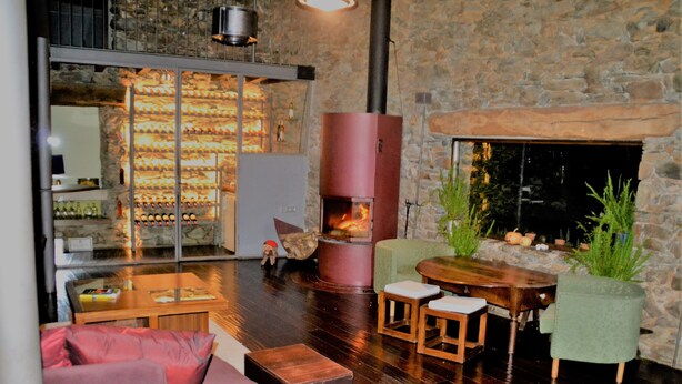 A cozy living room with a stone fireplace, a glass wall displaying wine bottles, and a comfortable seating area with a sofa and a coffee table. - Hotel Cruells (Planoles)
