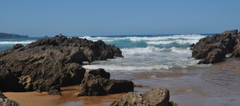 El Bosque de La Anjana