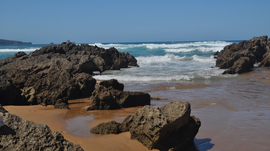 El Bosque de La Anjana