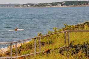 On the beach, sun-loungers - Spectacular Private Waterfront Cottage on Bayside. Panoramic Views. Pet Friendly (Wellfleet)