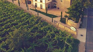 Una extensa propiedad con varias construcciones, piscina y viñedo.