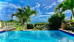 Een helderblauw zwembad met uitzicht op de oceaan en palmbomen.