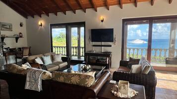 Taulutelevisio, DVD-soitin, kirjoja, videokirjasto