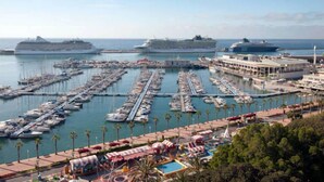 A marina with multiple cruise ships docked, a variety of boats, and a well-organized waterfront area with palm trees and a pool. - Encasa Hotel Almansa (Almansa)
