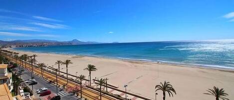 Una carretera costera con playa y palmeras.