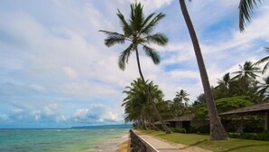 على الشاطئ