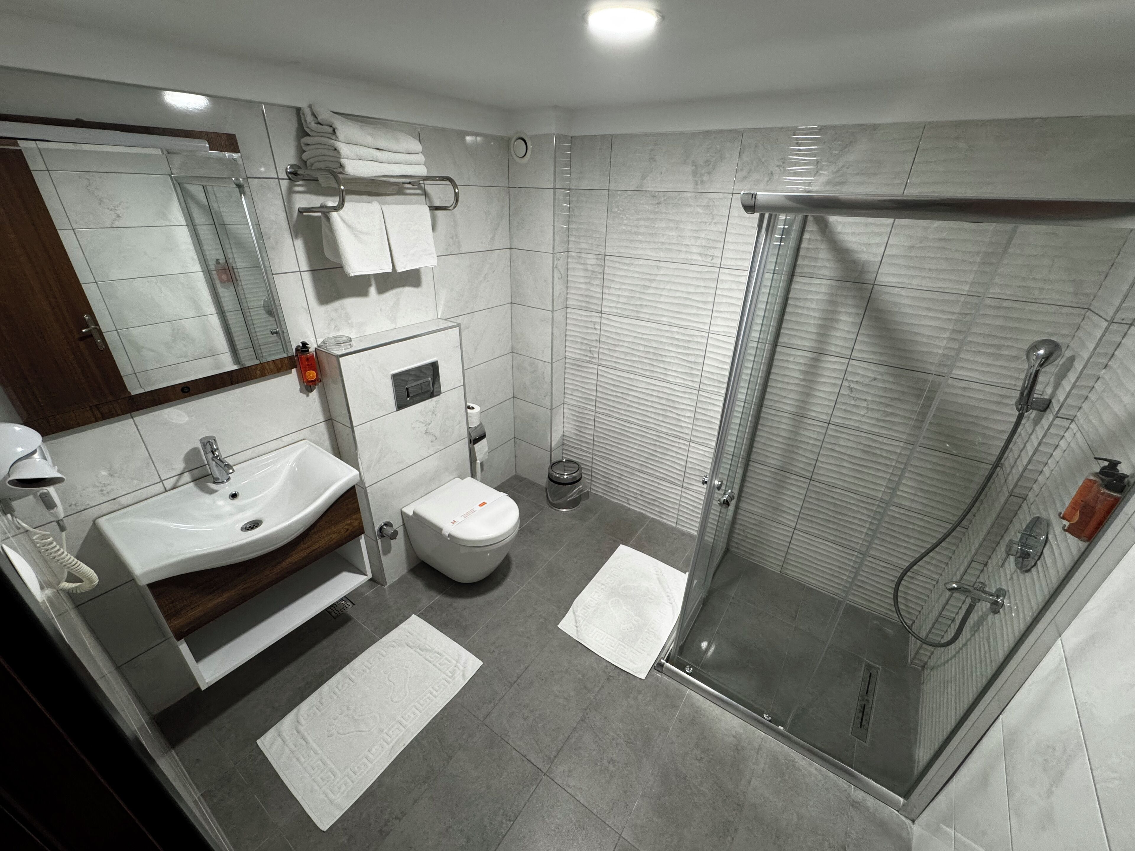 Shower, free toiletries, hair dryer, slippers