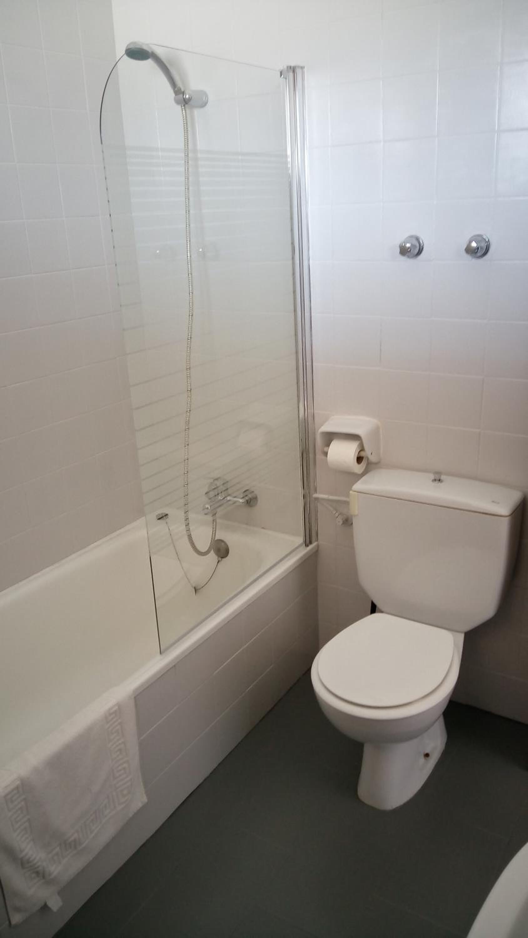 bathtub, free toiletries, hair dryer, bidet