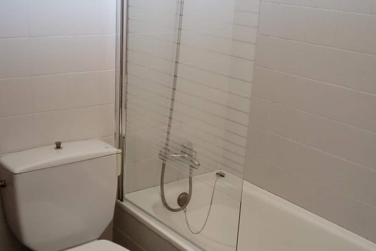 bathtub, free toiletries, hair dryer, bidet