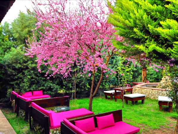 Jardin