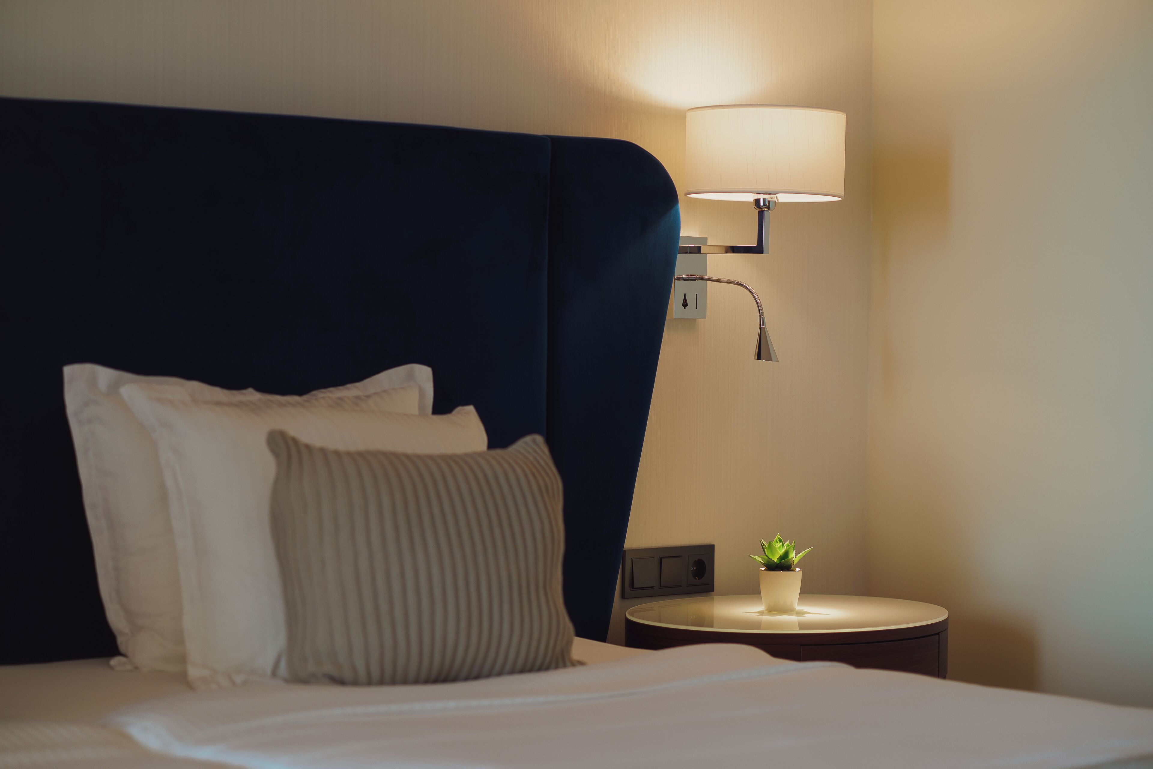 A hotel room with a bed, pillows, a bedside lamp, a small table with a plant, and a wall socket.