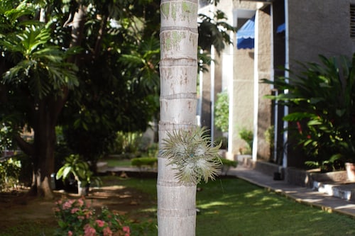 The Embassy Luxury Apt Crystal Towers I