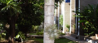 The Embassy Luxury Apt Crystal Towers I