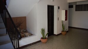 Un pasillo con escaleras, plantas en macetas y una puerta.