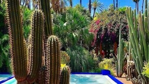A pool surrounded by various cacti and palm trees. - Riad Tchaikana (Marrakech)