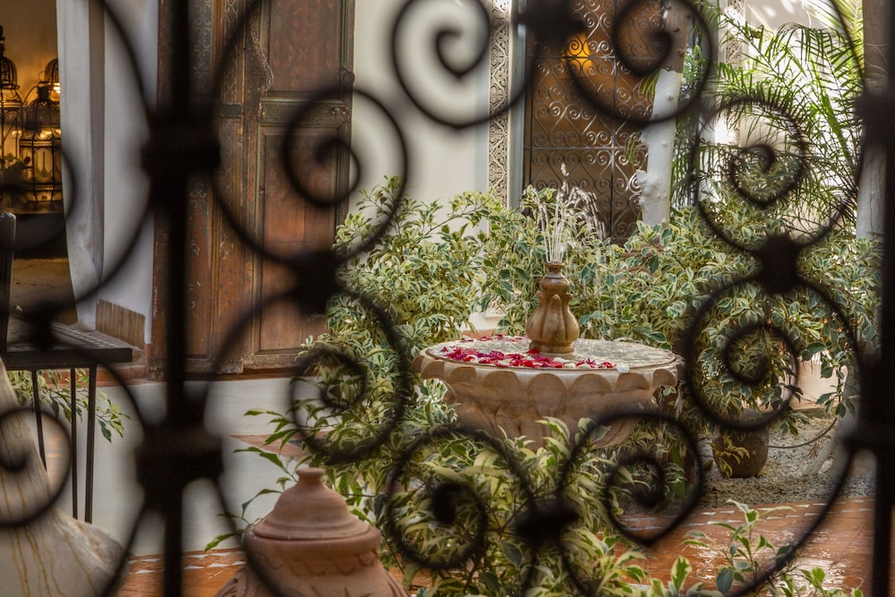 Riad Tchaikana by null