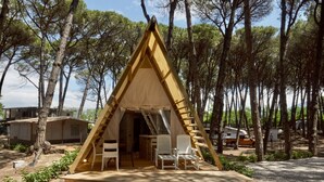 Una tienda de madera triangular con una mesa y dos sillas en su interior, rodeada de árboles.