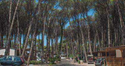 Camping Village Mare Pineta