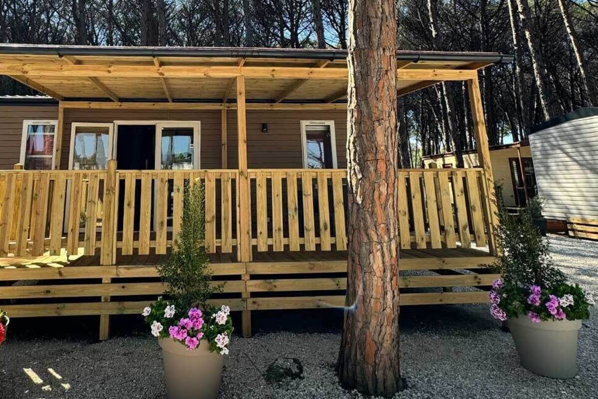 A wooden cabin with a porch, potted plants, and a gravel ground.