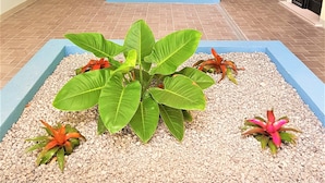A hallway with a blue planter box containing green plants and red flowers. - New Kingston Luxury Apt The Bromptons (Kingston)