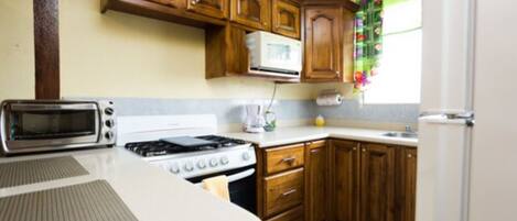 Appartement exécutif, 1 chambre, vue sur la montagne | Cuisine privée | Réfrigérateur grande capacité avec congélateur, four à micro-ondes